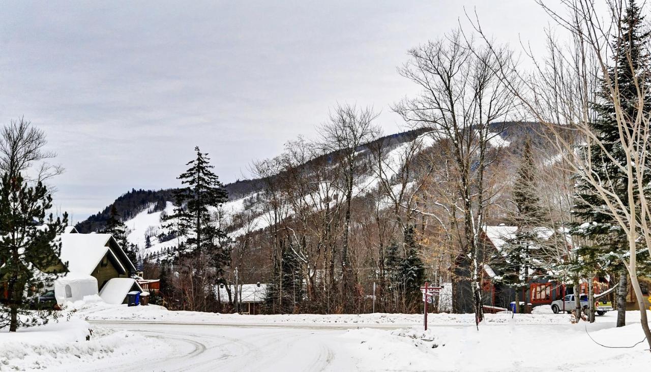 Вілла Chalet 04 Chemin Alpin Стонгем Екстер'єр фото